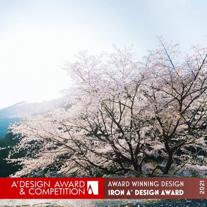 Kumano Cherry Photo by Daisuke Kawashima Iron Photography and Photo Manipulation Design Award Winner 2021 