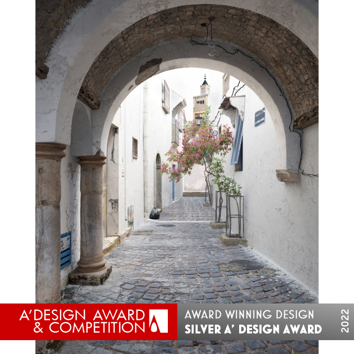 Ruelle 3D Visualization  by Amir Cherni Silver Computer Graphics, 3D Modeling, Texturing, and Rendering Design Award Winner 2022 