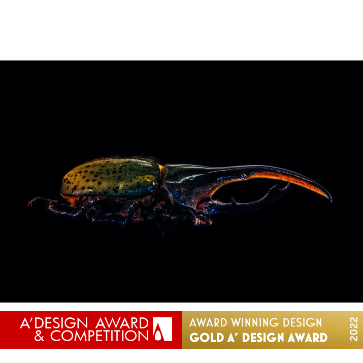 Samsa Photography Artwork by Florian W. Mueller Golden Photography and Photo Manipulation Design Award Winner 2022 