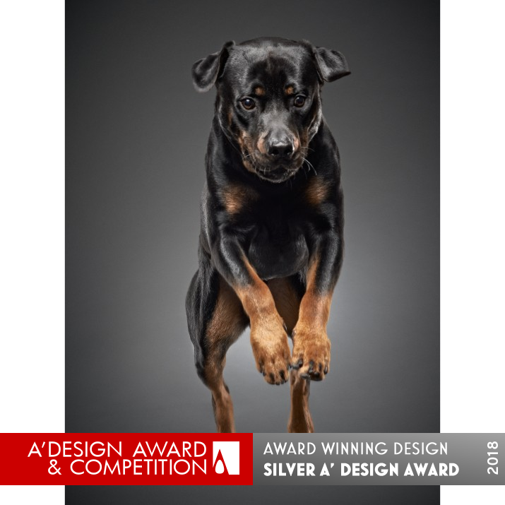 Jumping Fine Art Portrait of Dogs by Frank Pham Silver Photography and Photo Manipulation Design Award Winner 2018 