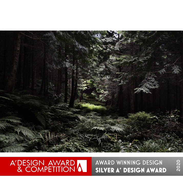 The Japanese Forest Photography by Masaru Eguchi Silver Photography and Photo Manipulation Design Award Winner 2020 