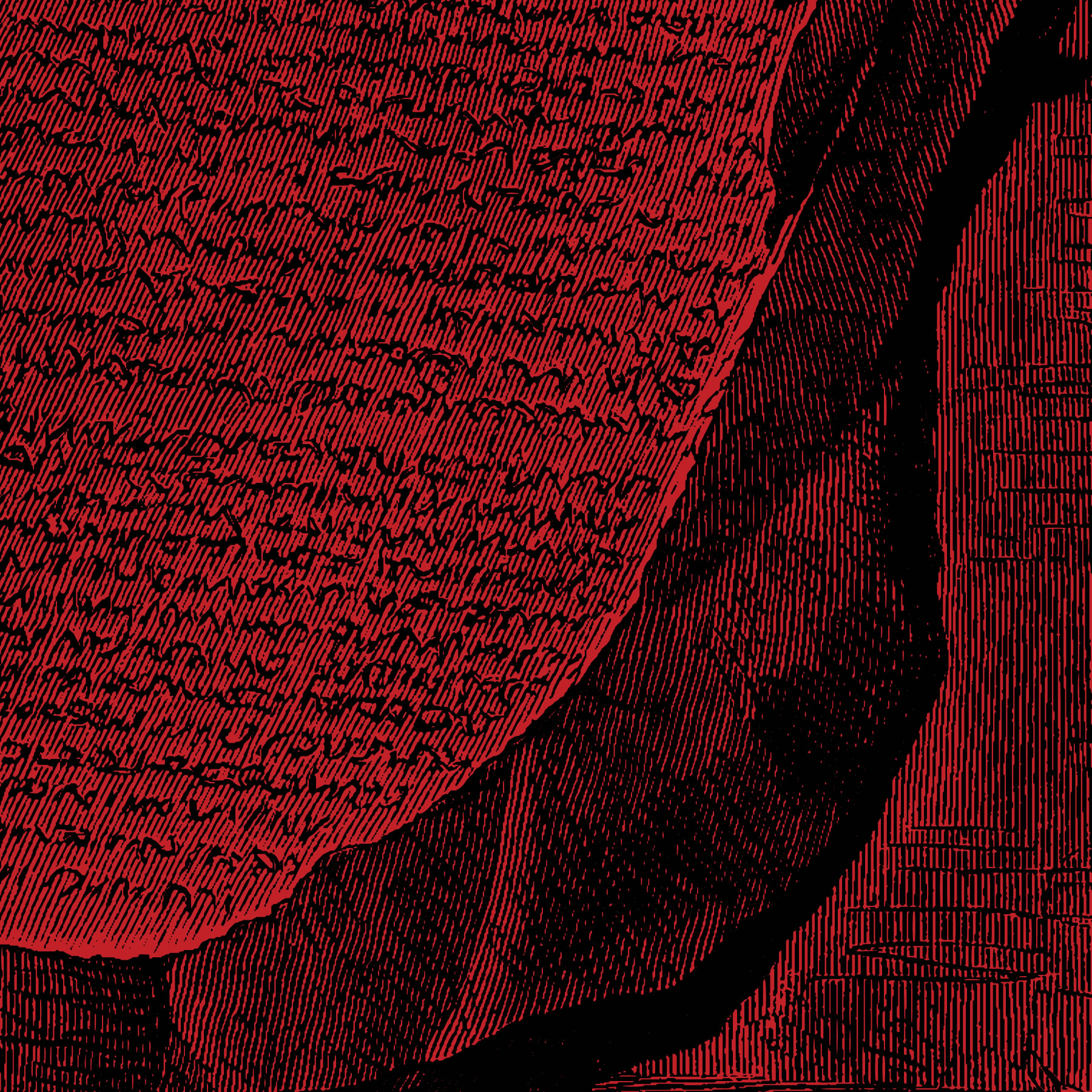 an illustration of the Rosetta Stone