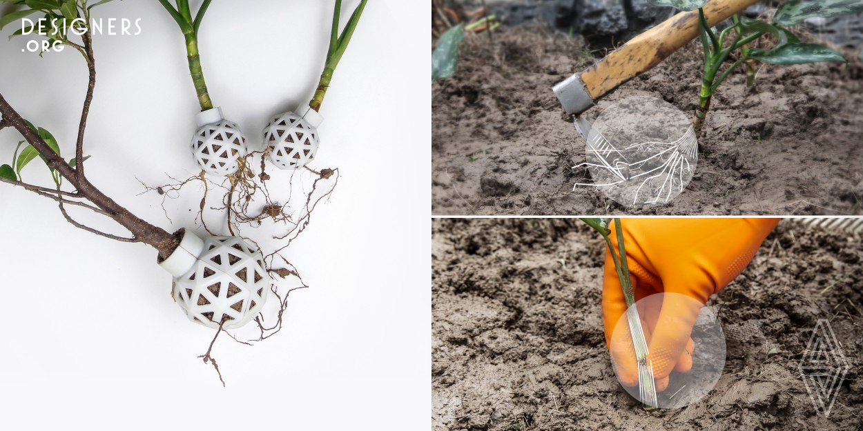 During the transplanting process, the roots and stems of flowers are easily damaged by external forces, thus reducing plant yield and causing economic losses to farmers. This is a protective device made of polylactic acid plastic that works on the roots of seedlings, protecting the main roots of flowers from damage from farm tools and rodents, and its protruding neck is designed to avoid direct hand contact with the stems of plants when pulled out.So, people can pull out the growing flowers directly from the soil. 