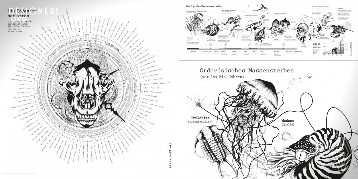 The three information graphics serve as a basis to introduce the topic of the Lazarus-Effect. They include "The Six Major Mass Extinctions", "Death Watch of the Species", as well as an information graphic of the "Local Fern Plants and Flowering Plants" (based on the Rote Liste, 2018). The Lazarus Effect is based on the theme of the Lazarus-Effect, as coined by paleontologist David Jablonski. This pertains to the unintentional rediscovery (by accident, through expedition or through relocation projects) of a previously lost or considered extinct form of life. 