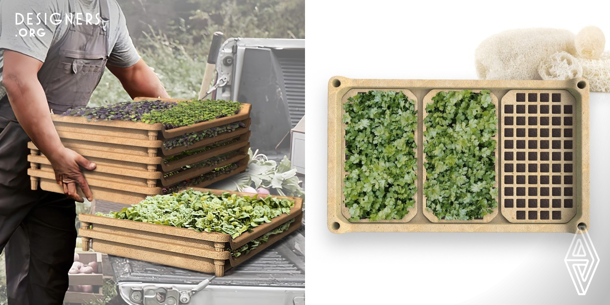 In order to actively respond to the rural revitalization strategy, on the basis of considering regional and functionality, relevant strategies for the use of loofah materials in the design of seedling trays were proposed. The development model of converting plastic seedling trays from cradle to grave to loofah biodegradable trays from cradle to cradle. Break the loofah and hot-press glutinous rice glue to synthesize new materials. A single person can carry more than five trays. Transplanted into the soil and degraded into nutrients.