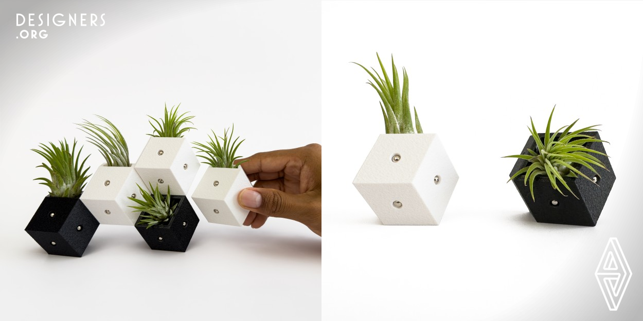 The designer was inspired by his childhood upbringing surrounded by natural plants and building blocks in his room. This sparked the question of whether there was a way to combine the two. By utilizing the unique properties of space filling polyhedrons and 3D printing, the designer was able to find an answer to this question. The solution manifested into Plan Ta, a system of magnetic planter building blocks which not only can hold a variety of indoor plants but can also be used to build and play with.