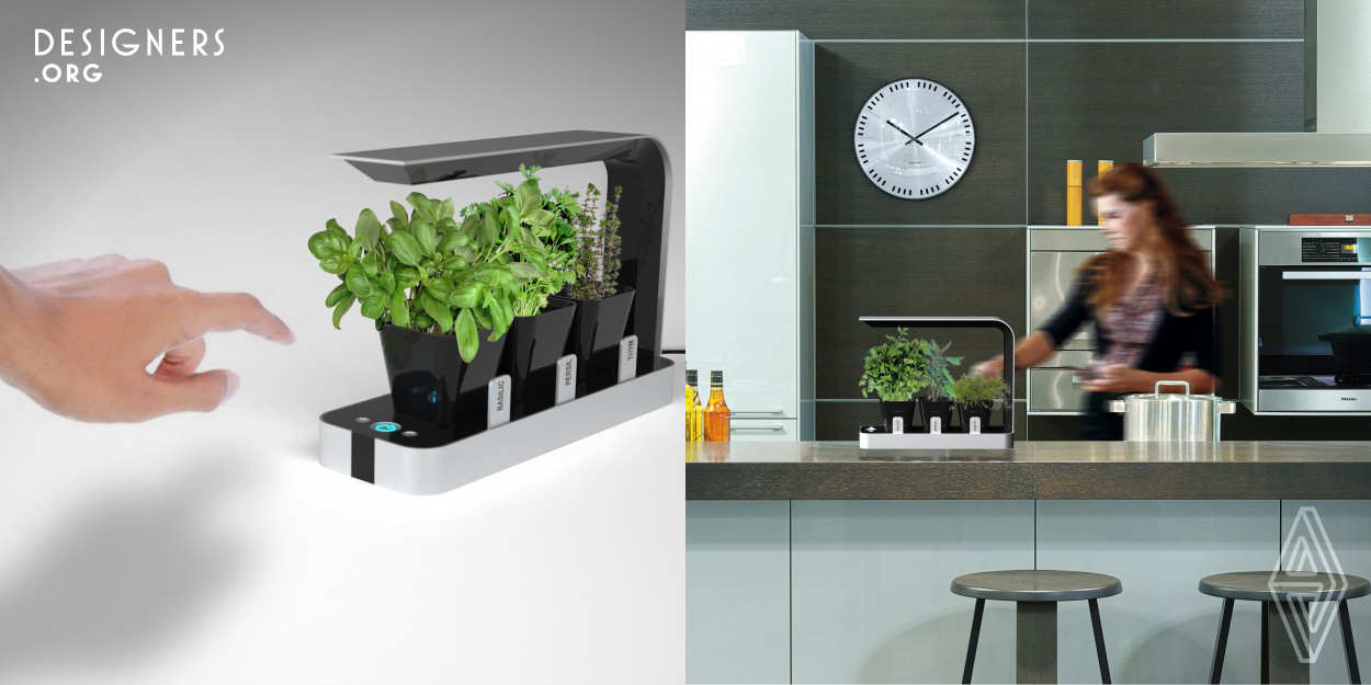 This project proposes to support this new use that provide a fuller sensory cooking experience.
BB Little garden is a radiant growing lamp, wanting to revisit the place of aromatic plants inside the kitchen. It is a volume with clear lines, as a true minimalist object. The sleek design has been especially studied to adapt to a variety of indoor environments and give a special note to the kitchen.
BB Little garden is a framework for plants, its pure line magnifies them and does not disturb the reading. 