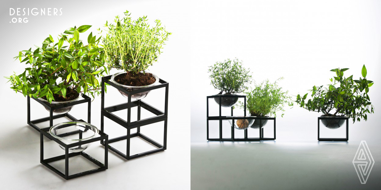 This is a mini planter which can be displayed anywhere in the house. Separate parts of this planter allow you to play with construction by combining pieces. You can also grow herbs in this planter.