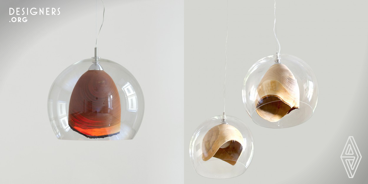 Teca is a wooden ceiling light made by blown glass, hand turned wood and metal. Each wooden lampshade is made by turning using various woods, enclosed in a bubble of blown transparent glass that levels the appearance. Elegant and exclusive for the high quality of the components, each piece is a unique and unrepeatable object. The main elements of this lamp are indeed the experience in woodturning and the fine research of the light through the wood. Each wood has its own story, its own reaction to the lathe and to the time, and only a thorough study of this story made this project possible.