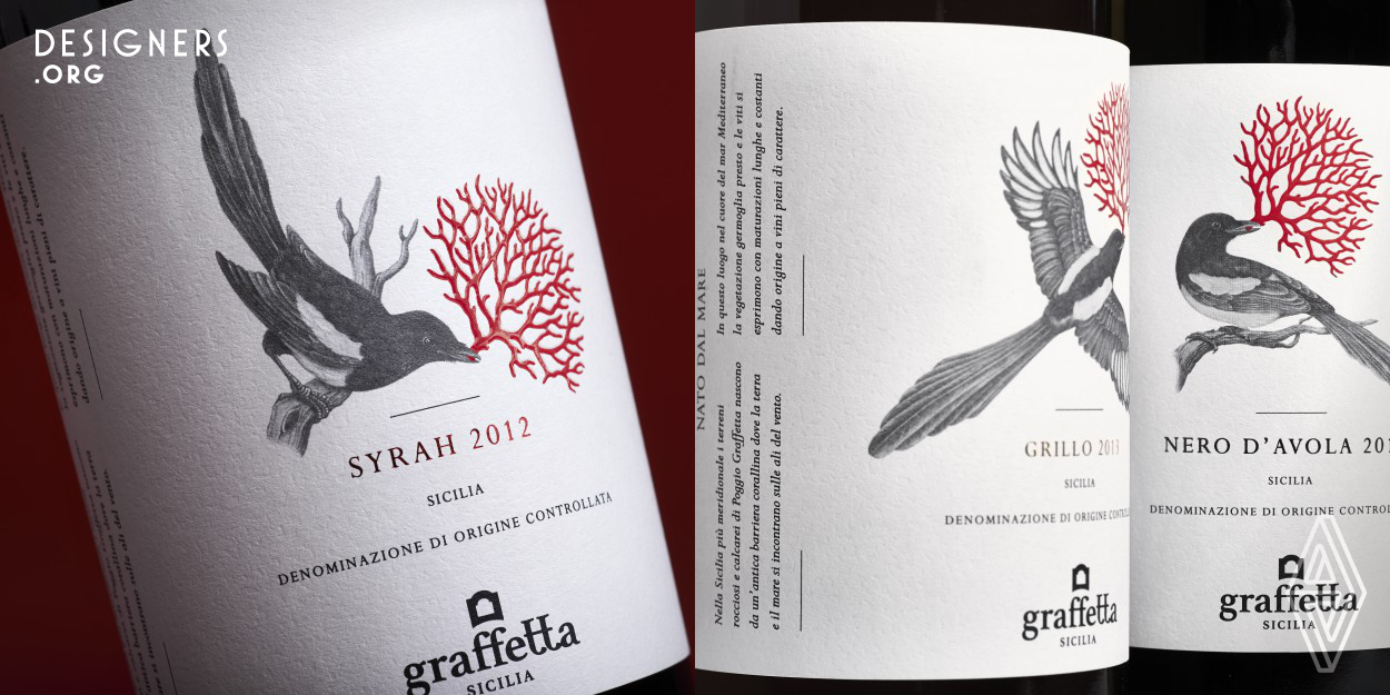 It was needed to espress the value of the Graffetta Estate trhough an iconic visual that could cross all the four variant of the range, different but with a visible family feeling. The inspiration arrived from the real story of the land: an ancient coral reef. The magpie, representing the present terroir, keep in mouth a coral, representing the ancient reef: the present recognise the value of its past and they both fly together toward future. The concept has been expressed by print technology that exalted the differences also through tactile sensation.
