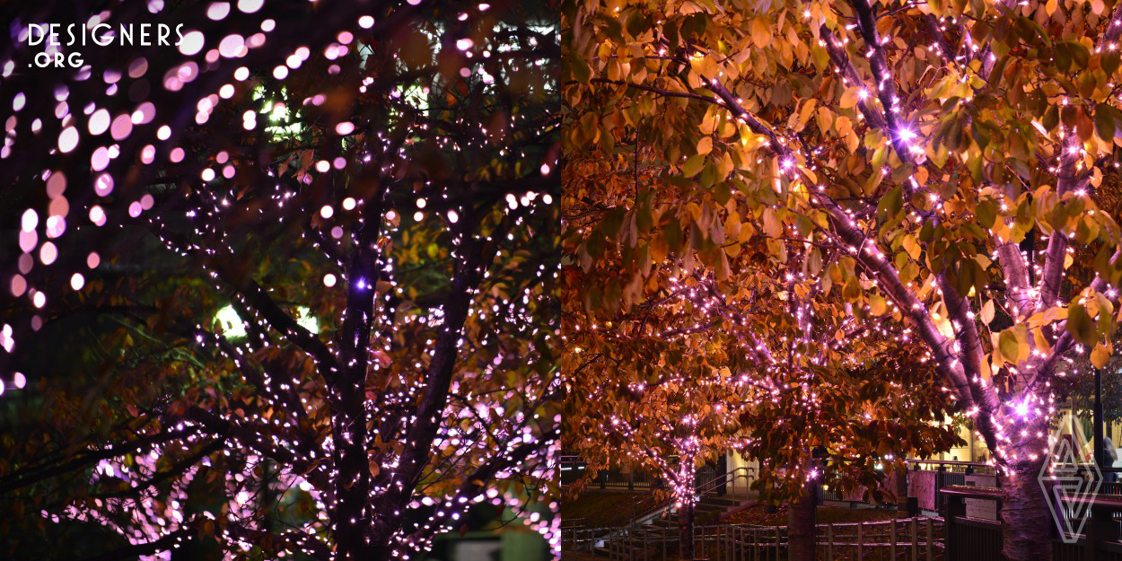 Great East Japan Earthquake and the Fukushima nuclear accident happened in 2011. Most Japanese were required to take power saving measures, however, illumination decoration with Christmas business was seen in central Tokyo. CreativeOut started to hold an event which allowed them to use the new energy solution. This illumination was lit up by refining waste oil, from households and restaurants where the event was held, into biodiesel fuels to illuminate the area along the Megurogawa river and supported by the government, donations from regional companies. 