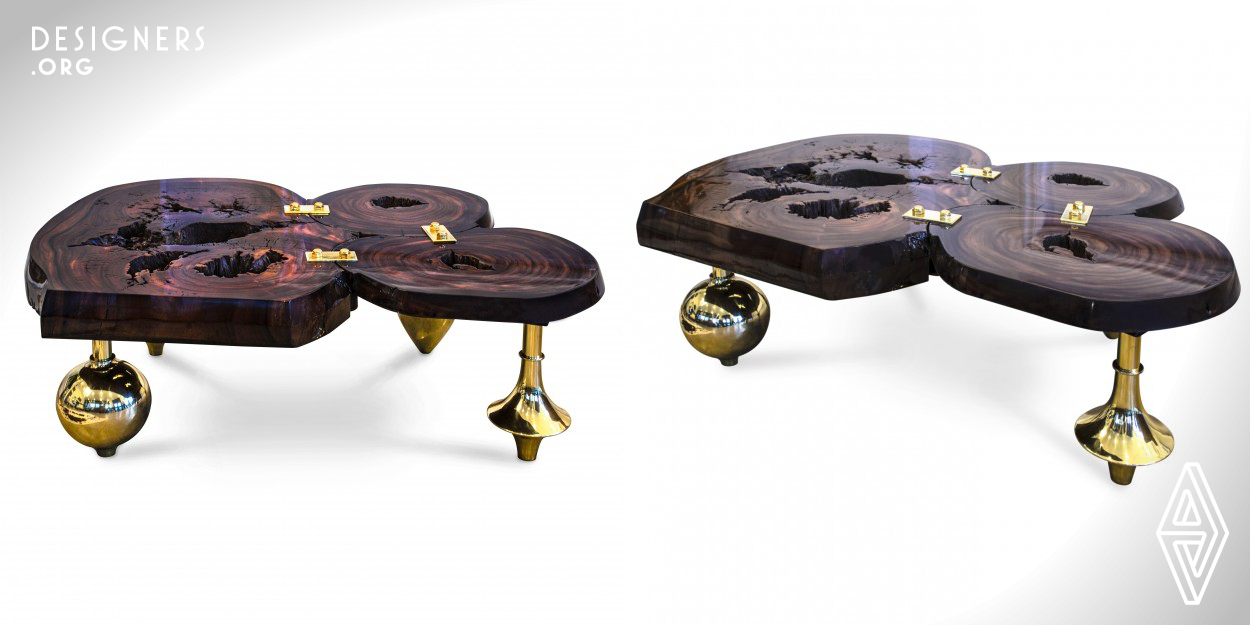 The amoeba coffee table captures the synergies between two cells and translates them by connecting these wooden barks. These barks are then refined, polished and suspended on hand crafted sculpted legs. The composition of the legs are specific to each table, which is what makes it interesting. The intent is to retain much of the natural shape of the bark and not interfere other than treating it with stain and high gloss. The beauty of the table is the assembly, how each bark comes together to form a shape. 