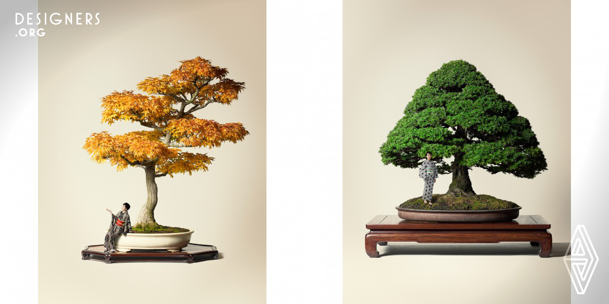 Japanese tend to be more interested in the culture of other countries than their own culture. In fact, almost all Japanese people know bonsai, but there are few Japanese who know how to enjoy bonsai. Also the demand for Japanese bonsai is decreasing. A bonsai is a thing that borrows the shape of plants and feels the background and the natural scenery. These pictures are  visualization of them. He visualized and clarified how to enjoy bonsai. The chance of knowing pleasure leads to protection of culture. It can be a photo, not a real one.