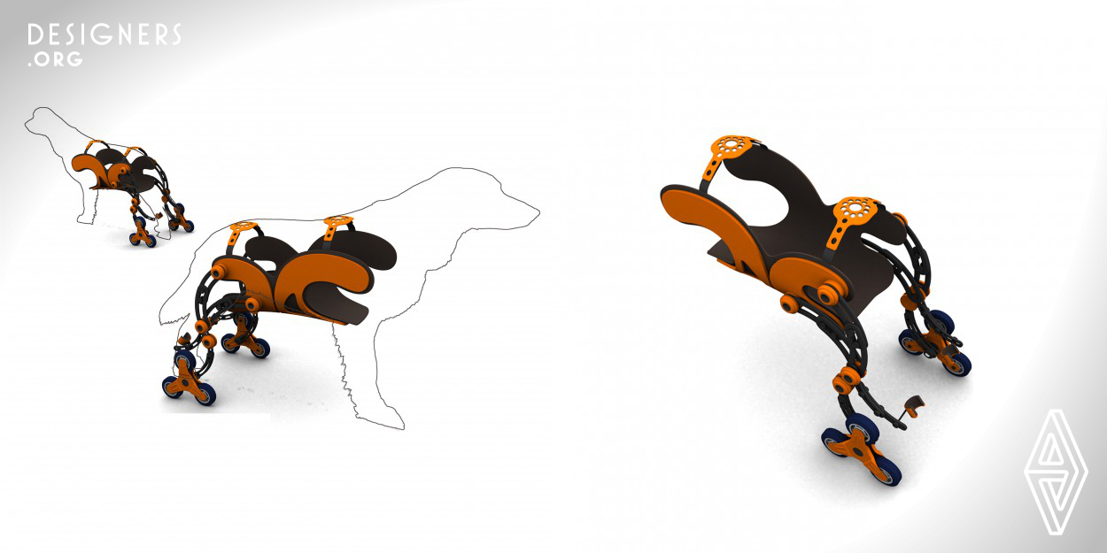 The product is designed for the dog with clumsy hind leg or disabled leg.The protection belt can tie up the dog's abdomen and buttocks so as to help the dog walk, stand and lie, go up and down stairs, or even jump .The wheelchair applies multi -section dynamic support system, and a creative elastic hinge joint is the key to ensure the wheelchair work smoothly.In the eyes of man, the dog is a companion;in the eyes of the dog, man is everything.