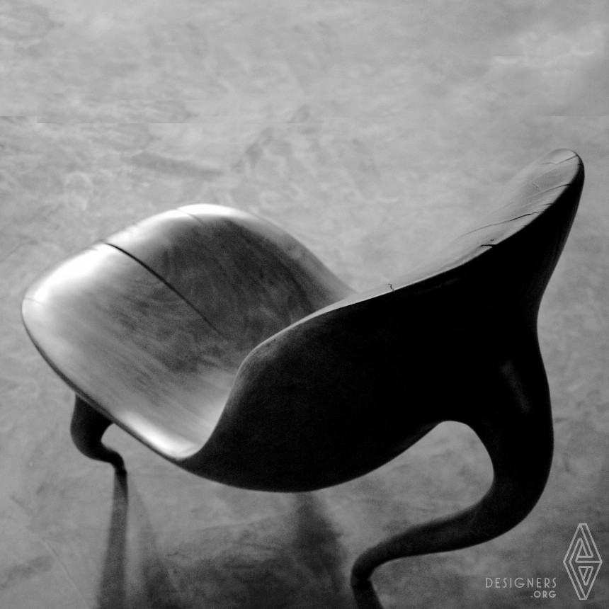 Sepehr Mehrdadfar Chair