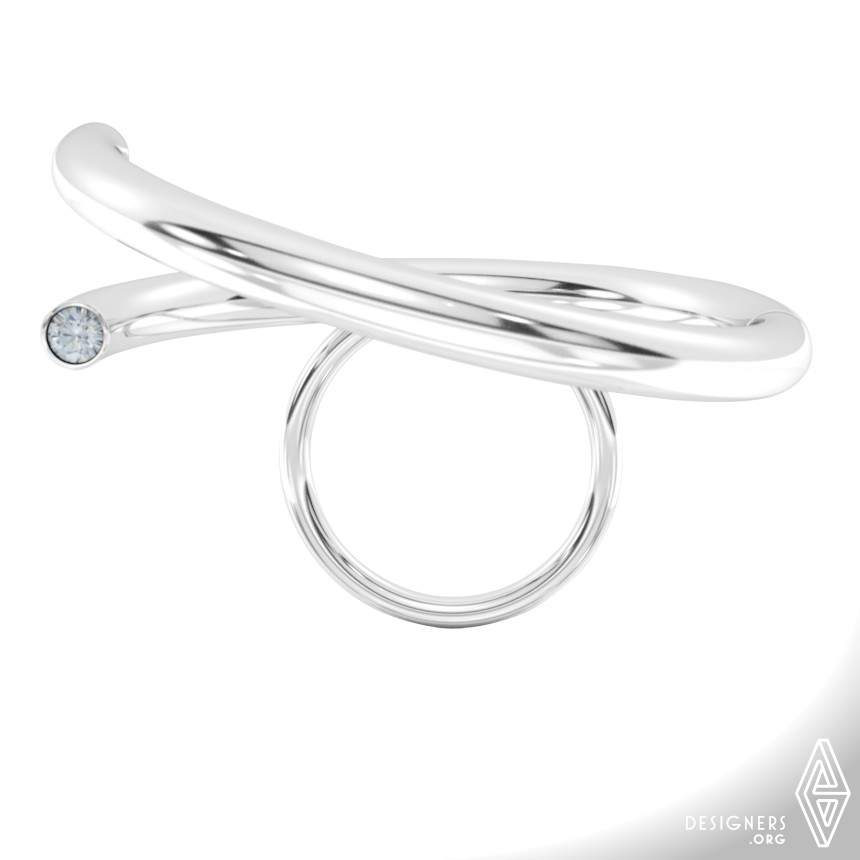 Ring by Ayse Teke Mingu