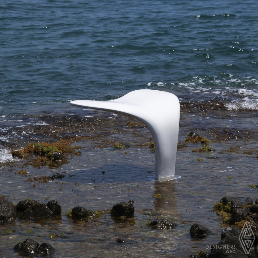 Whale Tail IMG #3