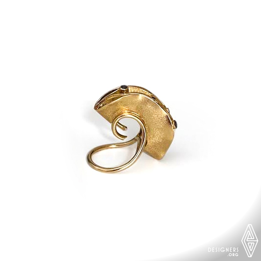 Ring by Sanaz Doost