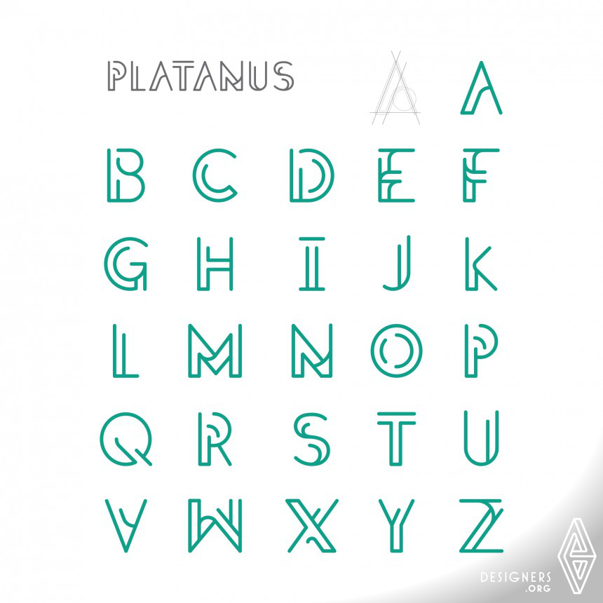 Platanus IMG #4