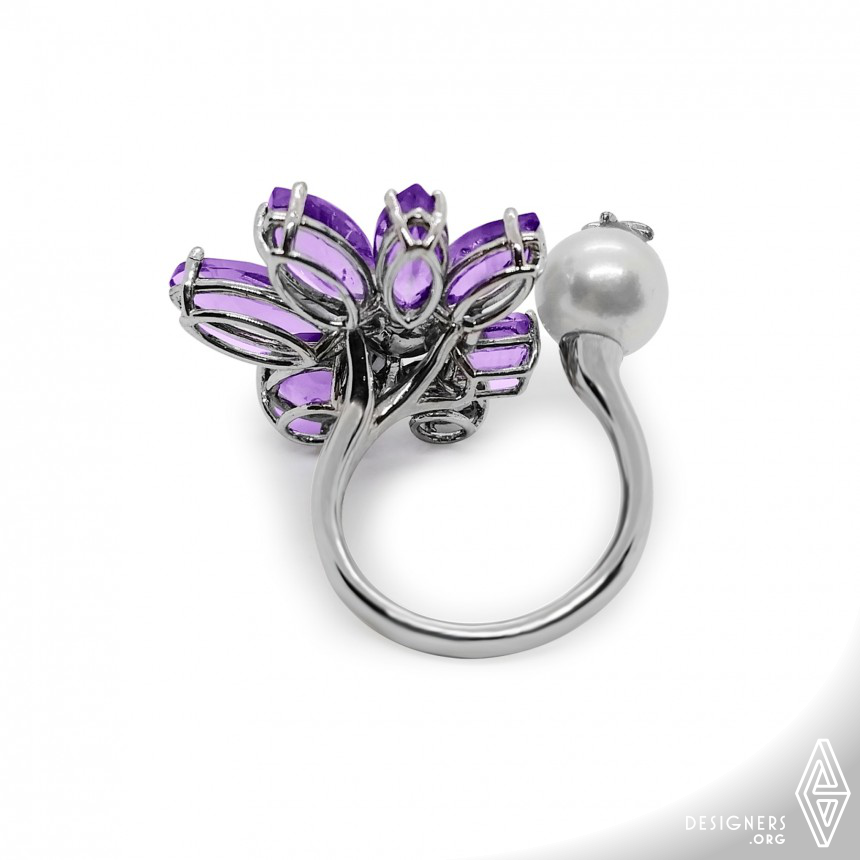 Purple Orchid  IMG #4