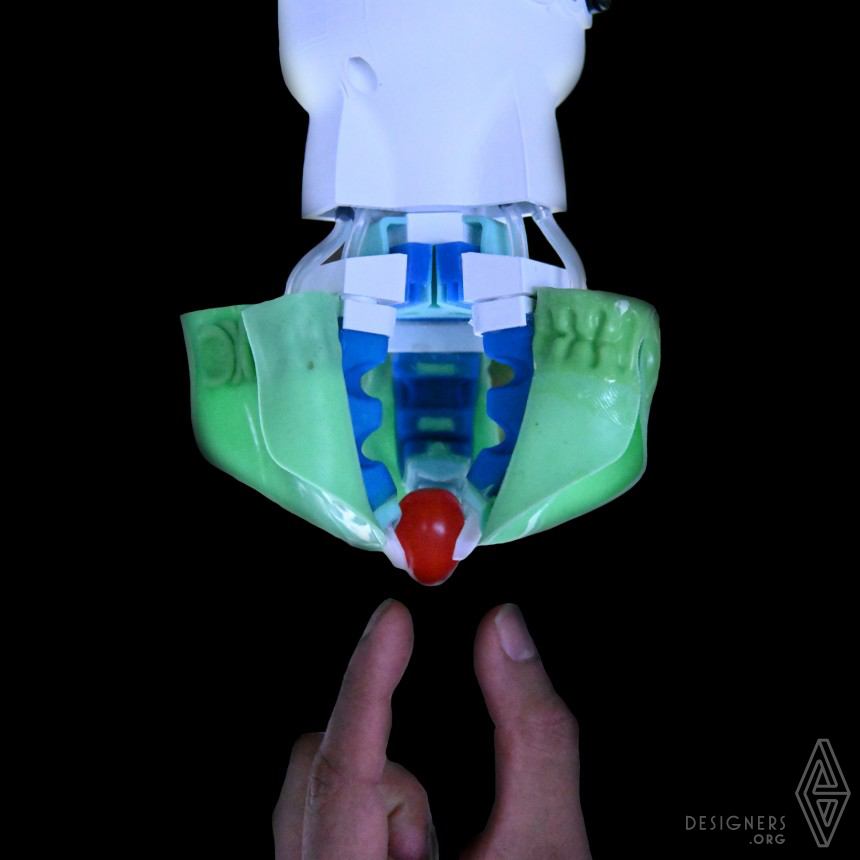 BioInspired Robotics  amp  Design Laboratory Reconfigurable Soft Robotic Gripper