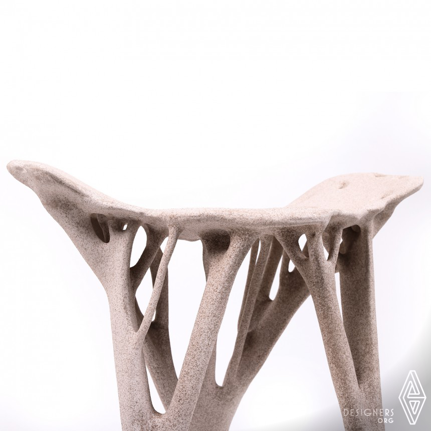 Biodegradable Chair by Ji Qi
