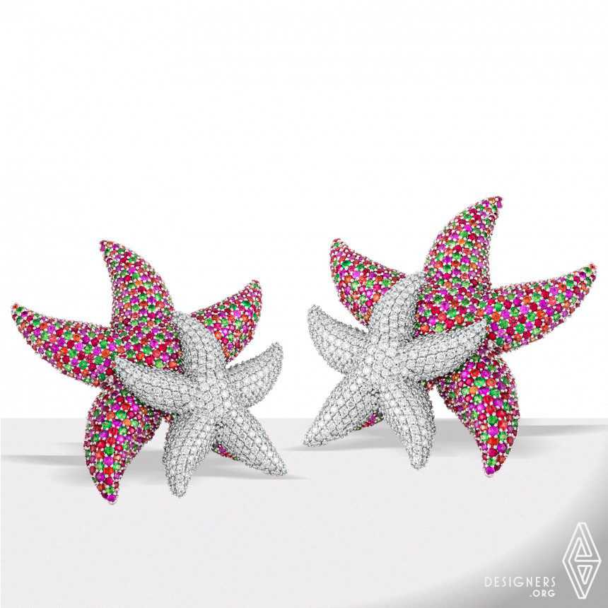 Starfish Collection IMG #3