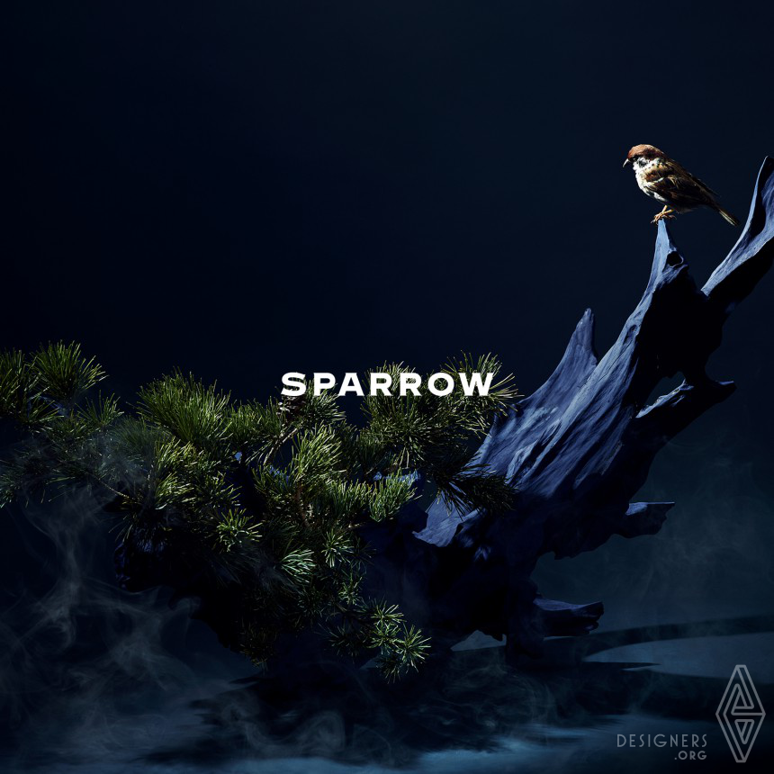 Sparrow Branding IMG #4