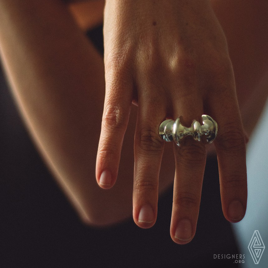 Jewelry Ring by Nathan Burak