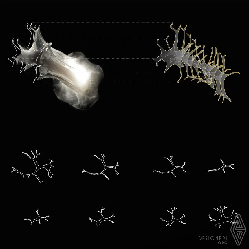 (bio)Plastic Morphologies IMG #4