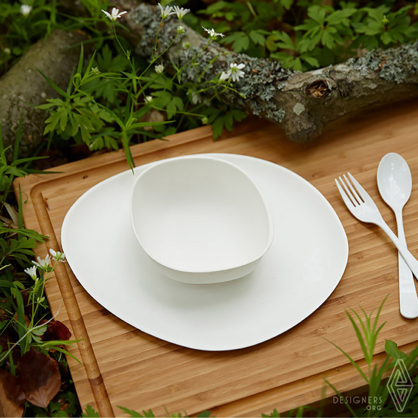 designer plates and bowls