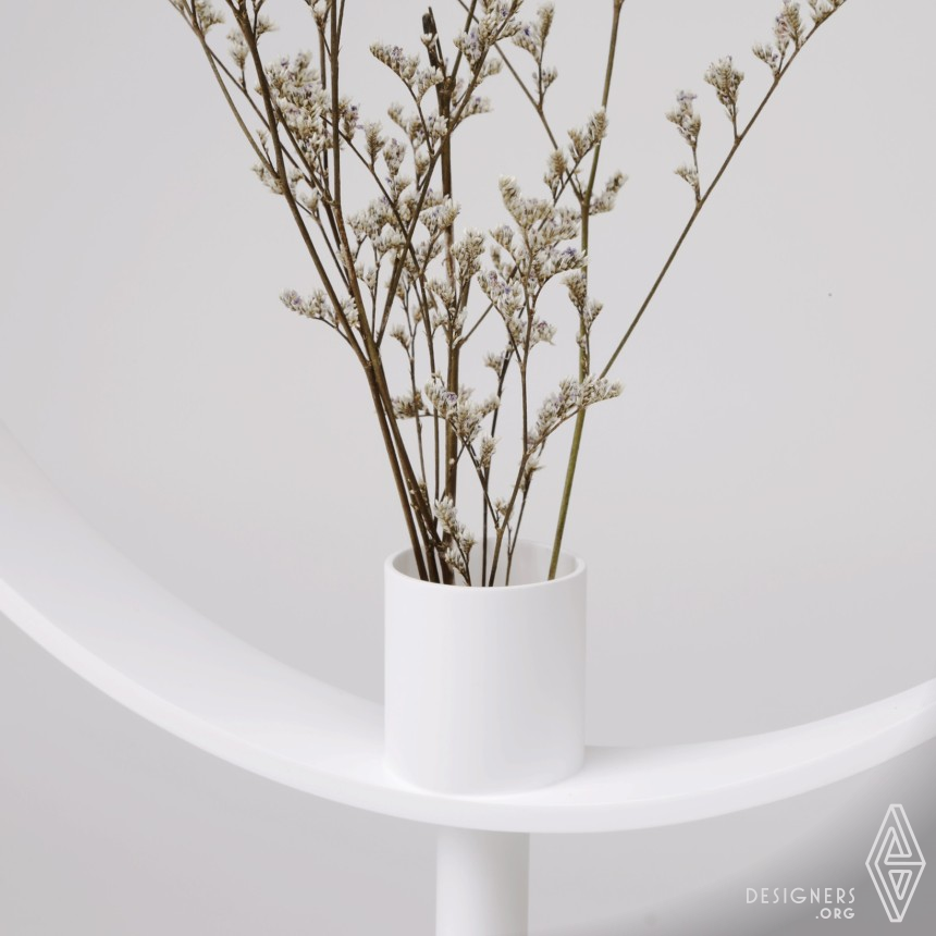 Magnifying Vase IMG #3