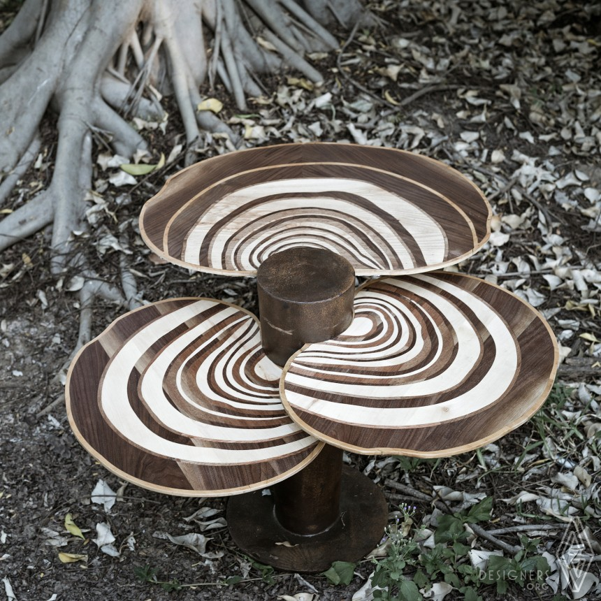 Turkey Tail IMG #5