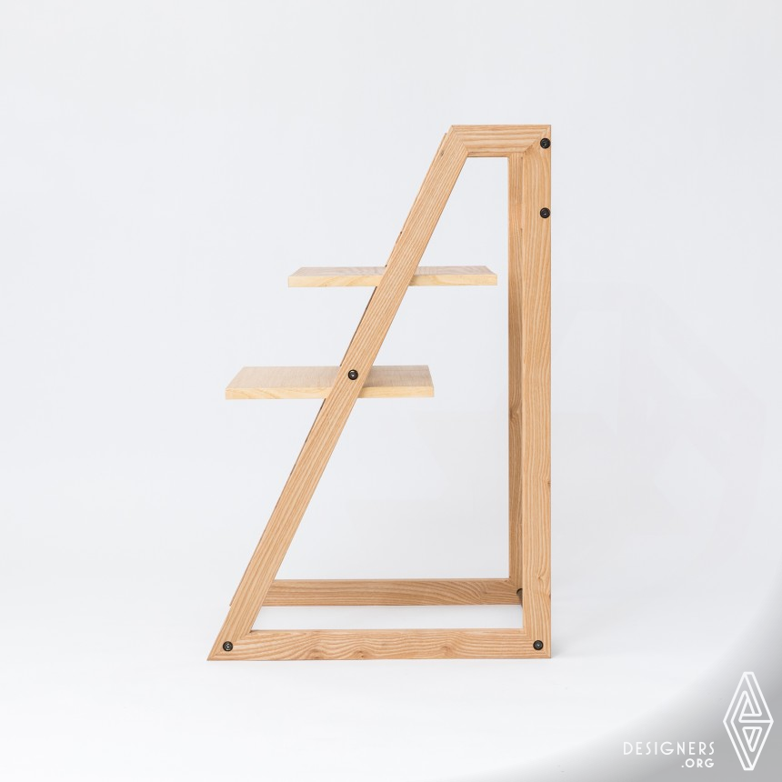 LADDER IMG #2