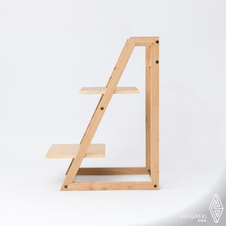 LADDER IMG #3