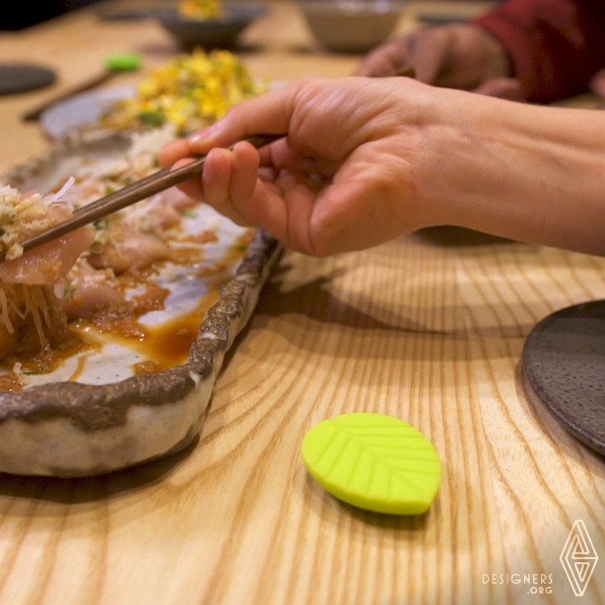 Ambi Chopsticks & Holders IMG #5