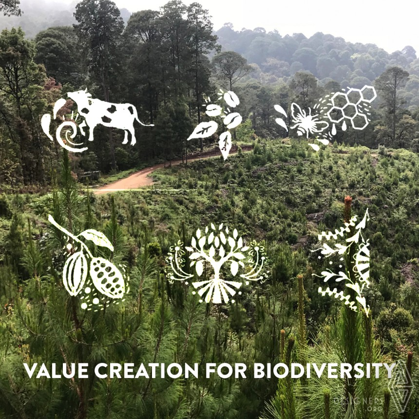 Value Creation for Biodiversity IMG #5