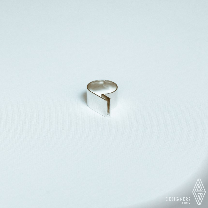 Modular Ring Series IMG #2