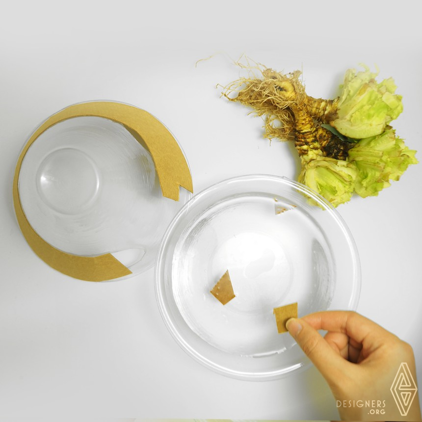 Multifunctional Food Packaging by Ning Sun