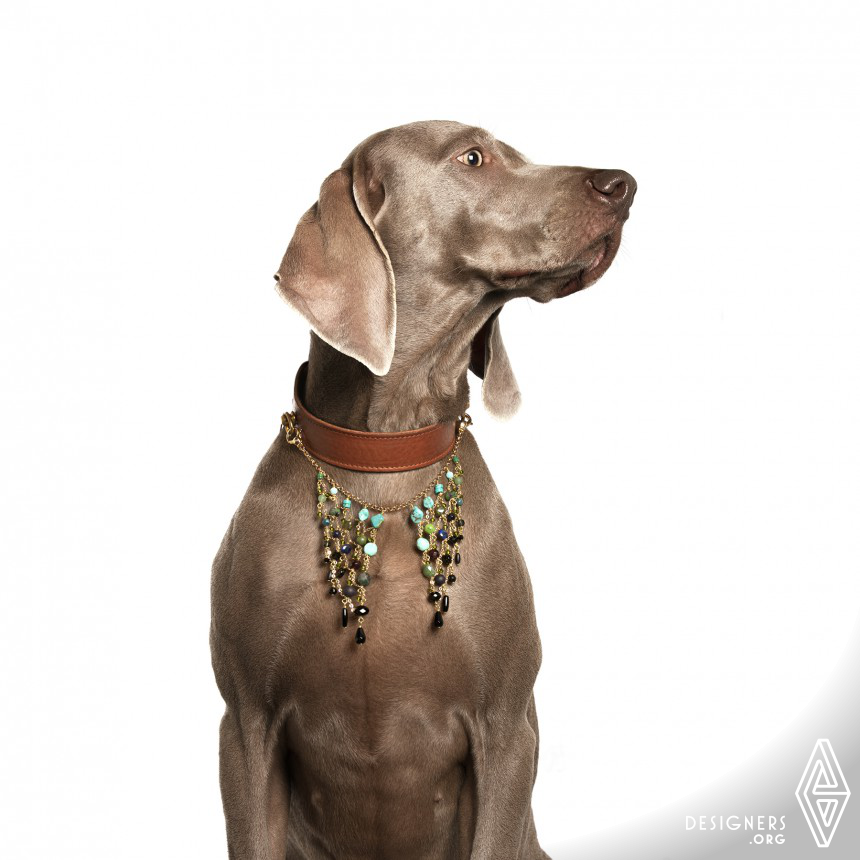 Frida Hultén Multifunctional Dog Collar