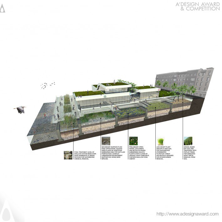 Tyler Caine - Gowanus Flowlands Wetlands For Environmental Remediation