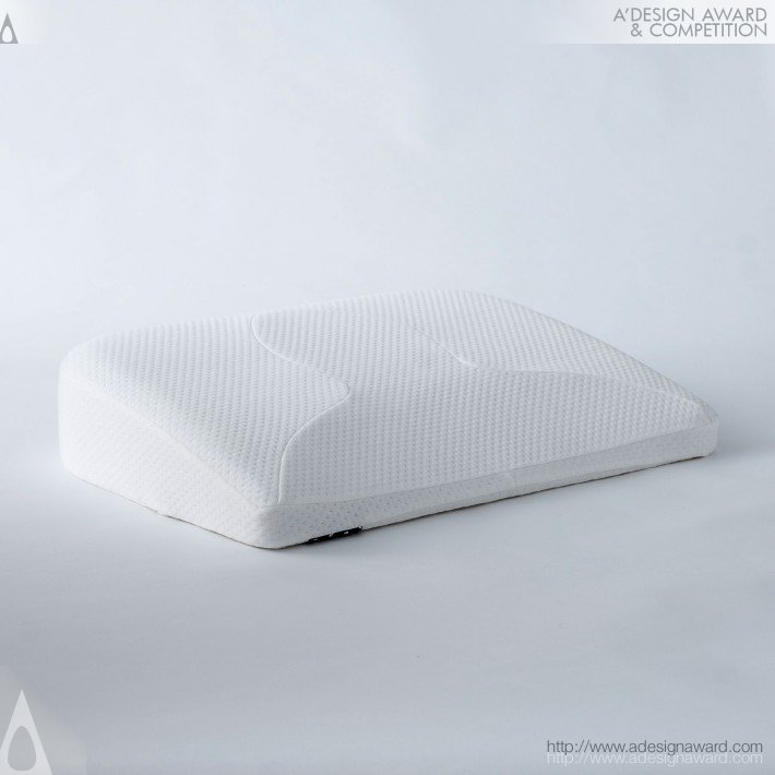 Pillow by Hola Test Rite