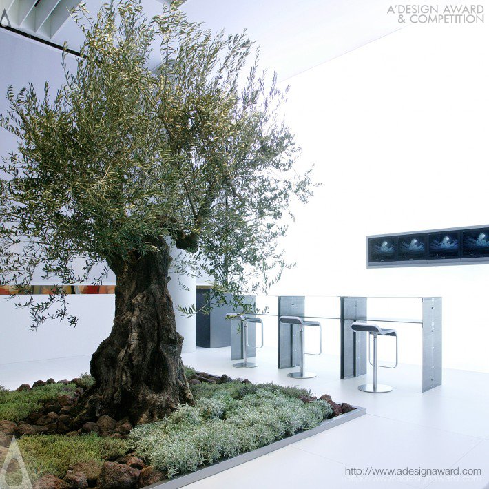 ueberholz-olive-tree-by-nico-ueberholz-1