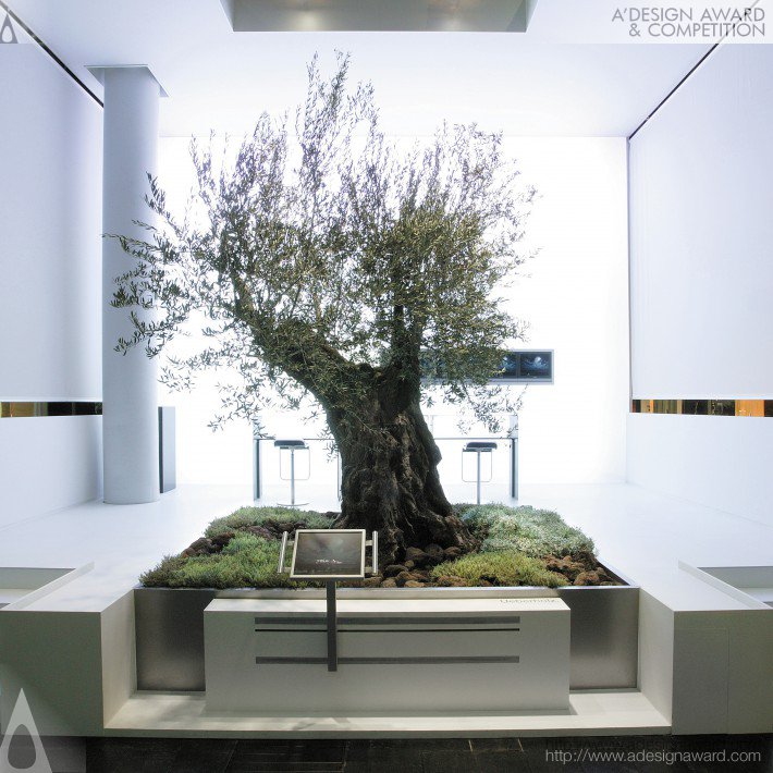 ueberholz-olive-tree-by-nico-ueberholz