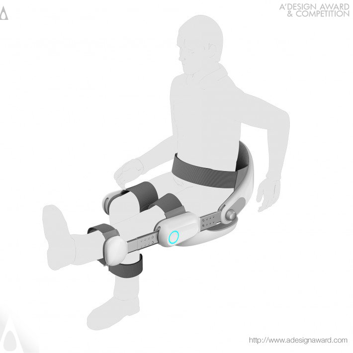 knee-osteoarthrit-by-wei-qiu-and-zhongyuan-lyu-4