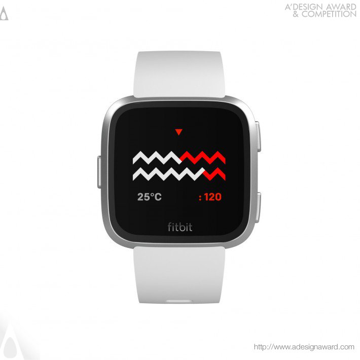 ttmm-for-fitbit-by-albert-salamon-4