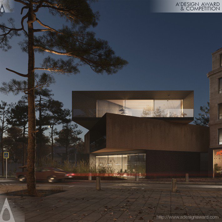 House by Alexandru Zingaliuc