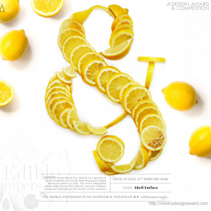 Ashley Anastasia Howell - Edible Ampersand Personal Project