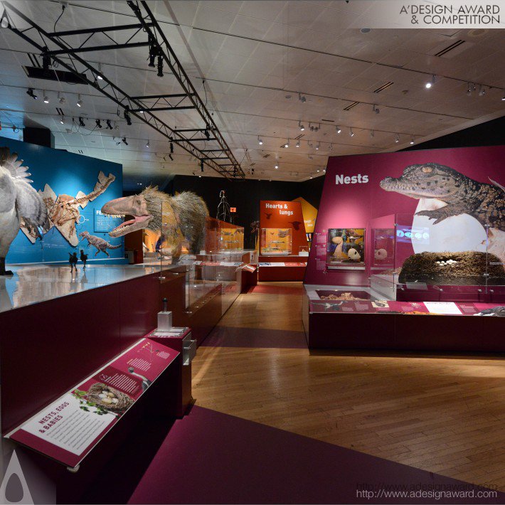 Dinosaurs Among Us Temporary/Touring Exhibition by The AMNH 3D Design Team