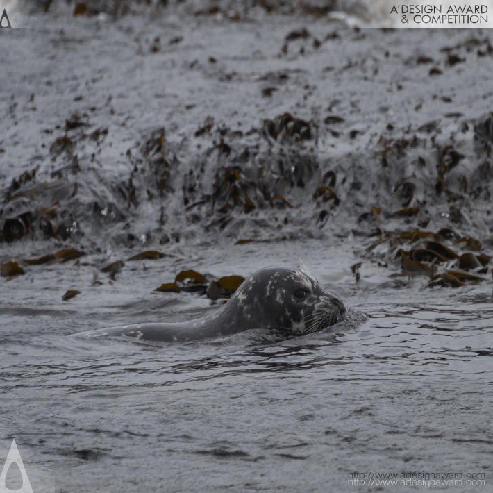 kuril-islands---kamchatka-expedition-by-chris-tattersall-2